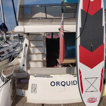 Orquidea Boat Love And Fun! Mentona
