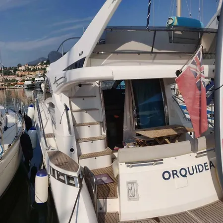 Orquidea Boat Love And Fun! * Menton
