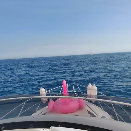 Orquidea Boat Love And Fun!